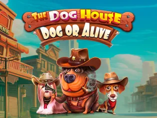 Слот The Dog House